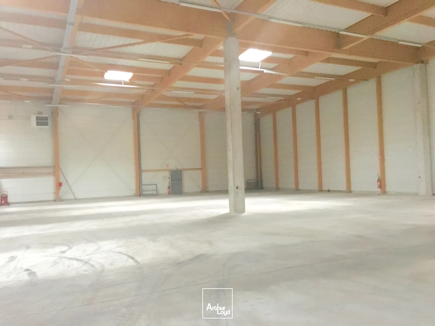 Locaux d'activité & Entrepôts - Vente - OURSEL MAISON - 60480 - 1861-1861 - 7800243