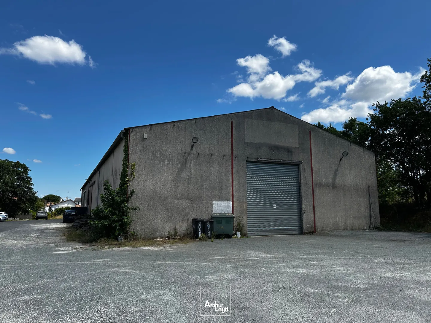 Locaux d'activité & Entrepôts - Location - LE HAILLAN - 33185 - 550-550 - 7800279