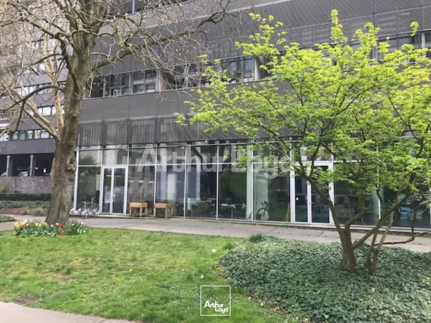 Bureaux - Location - LILLE - 59000 - 200-200 - 7800576