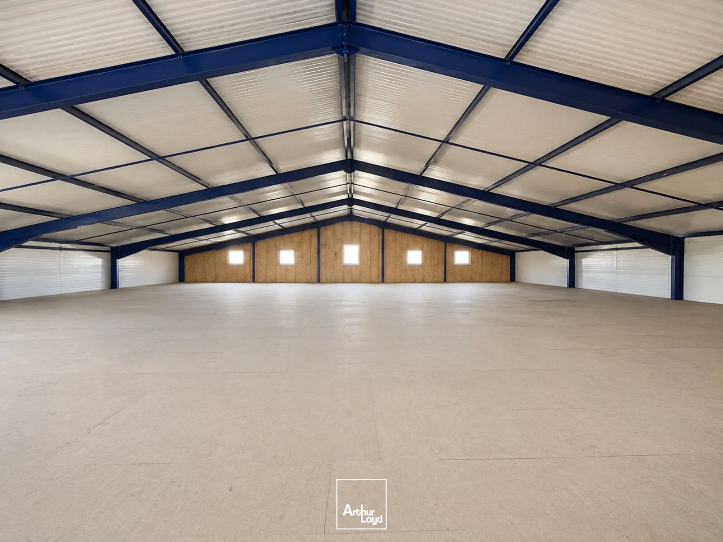 Locaux d'activité & Entrepôts - Vente - PRALONG - 42600 - 2655-2655 - 7800623