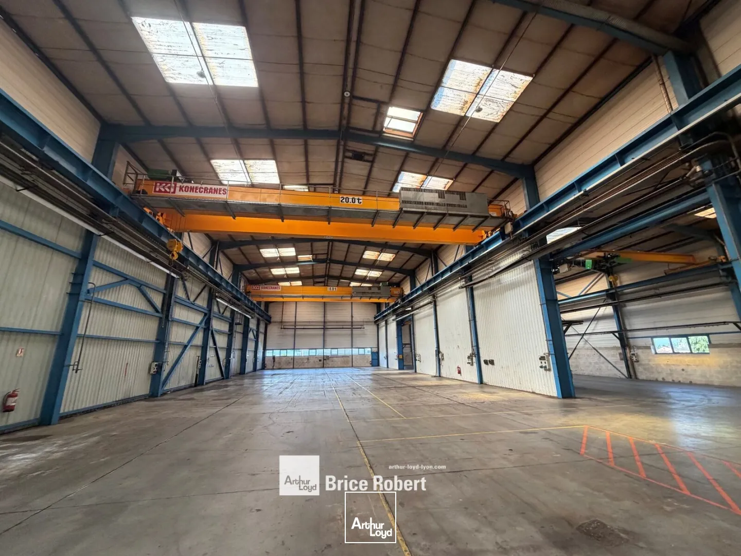 Locaux d'activité & Entrepôts - Location - BELIGNEUX - 01360 - 1570-3480 - 7800684