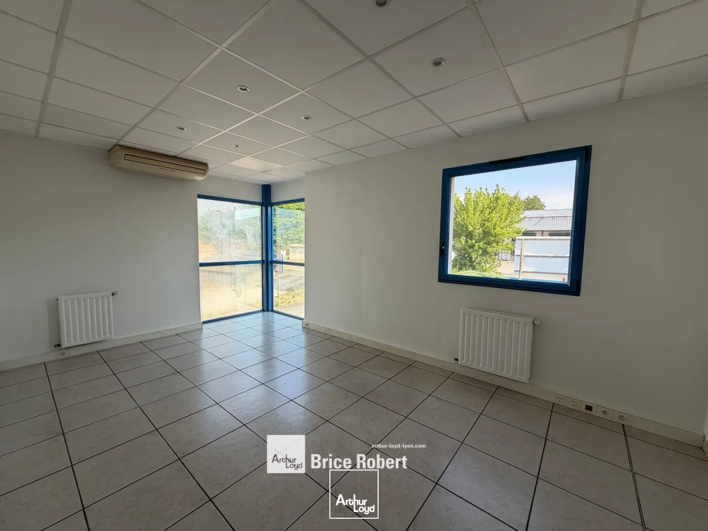 Locaux d'activité & Entrepôts - Location - BELIGNEUX - 01360 - 1570-3480 - 7800685