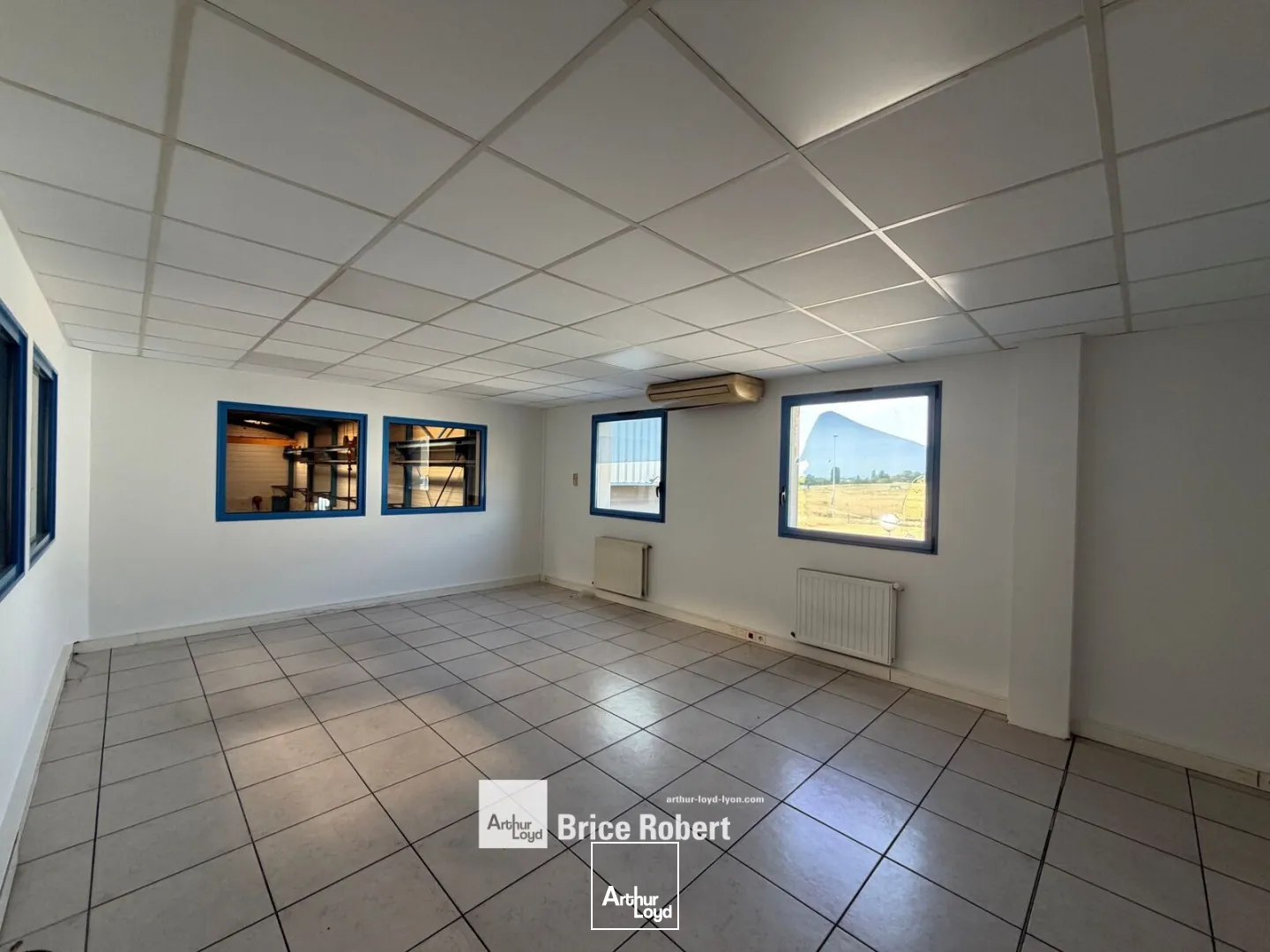 Locaux d'activité & Entrepôts - Location - BELIGNEUX - 01360 - 1570-3480 - 7800686