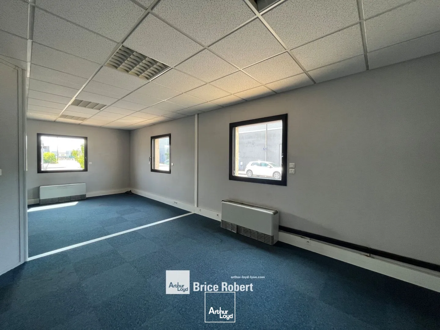 Locaux d'activité & Entrepôts - Location - VAULX EN VELIN - 69120 - 450-450 - 7800690