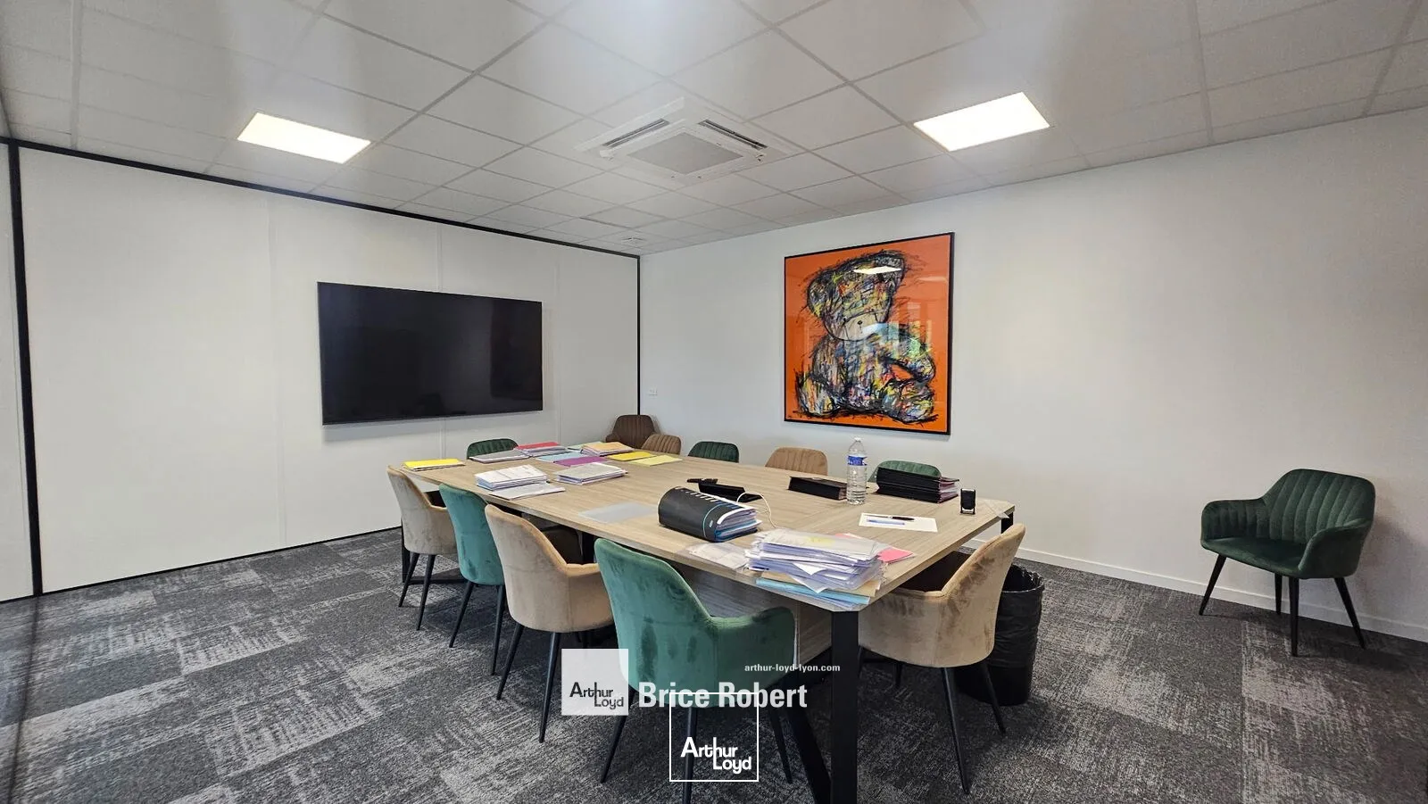 Locaux d'activité & Entrepôts - Vente - CHASSIEU - 69680 - 531-531 - 7800712