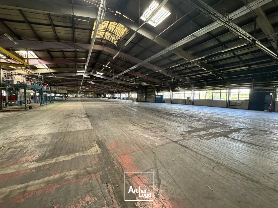 Locaux d'activité & Entrepôts - Vente - NAZELLES-NÉGRON - 37530 - 25000-25000 - 7800872