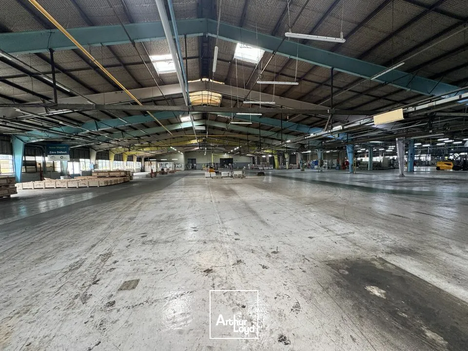 Locaux d'activité & Entrepôts - Vente - NAZELLES-NÉGRON - 37530 - 25000-25000 - 7800873