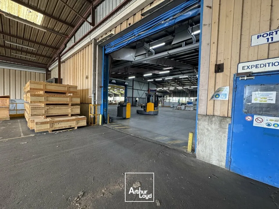 Locaux d'activité & Entrepôts - Vente - NAZELLES-NÉGRON - 37530 - 25000-25000 - 7800874