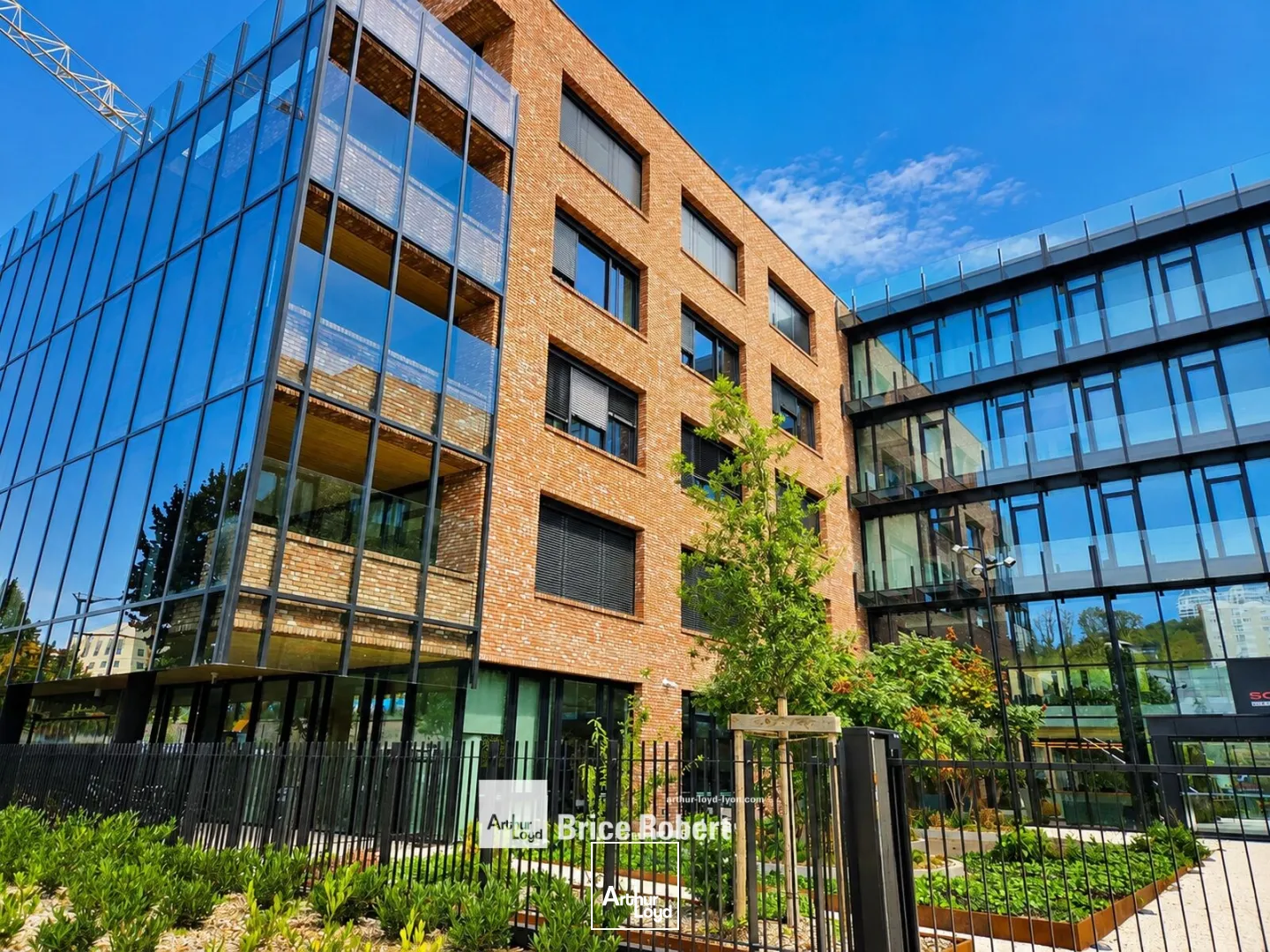 Bureaux - Location - LYON - 69009 - 2532-2532 - 7801393