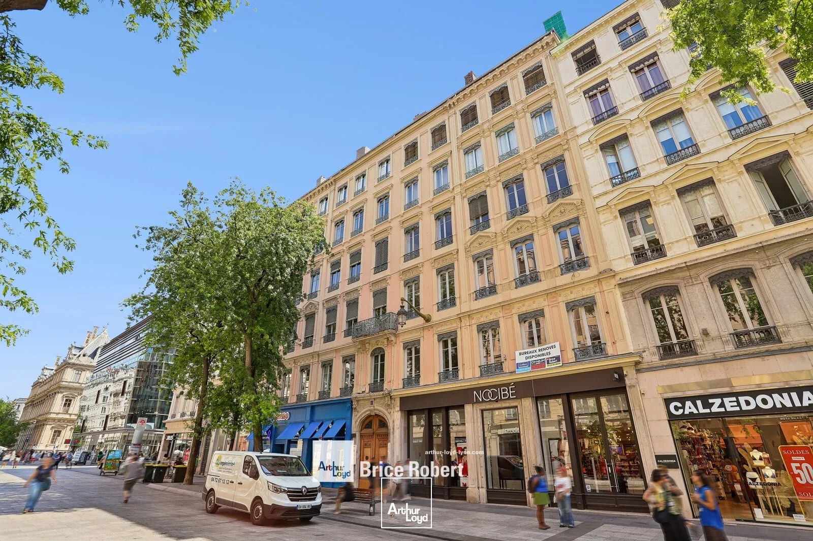 Bureaux - Location - LYON - 69002 - 157-645 - 7801399