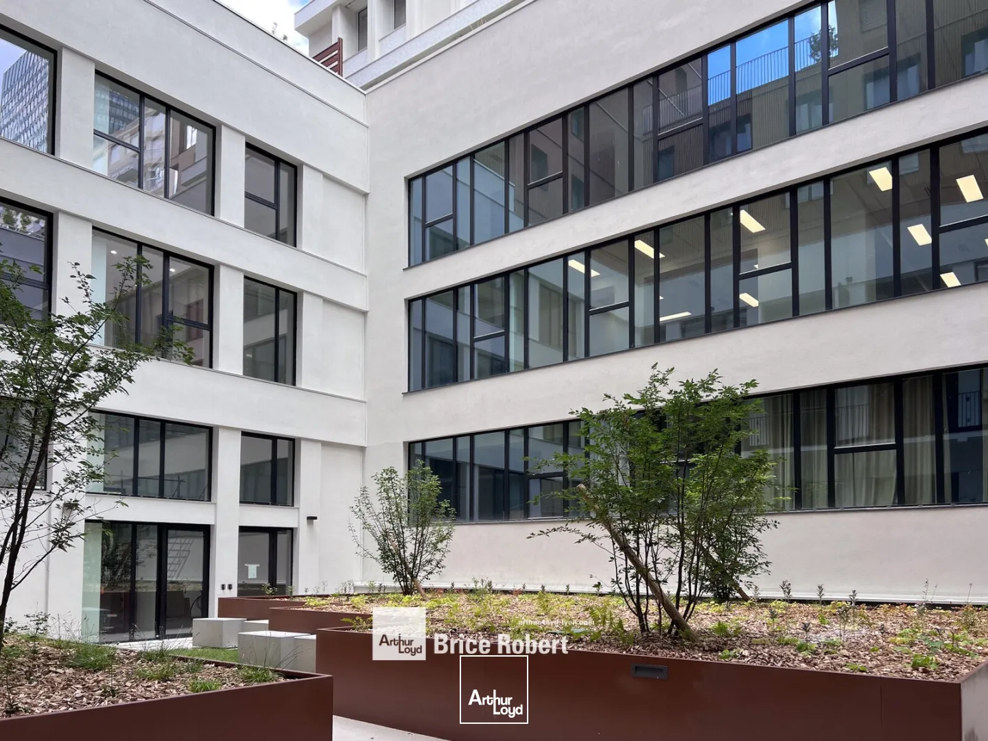 Bureaux - Location - LYON - 69003 - 323-729 - 7801424
