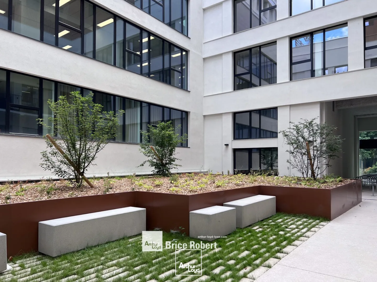 Bureaux - Location - LYON - 69003 - 323-729 - 7801416