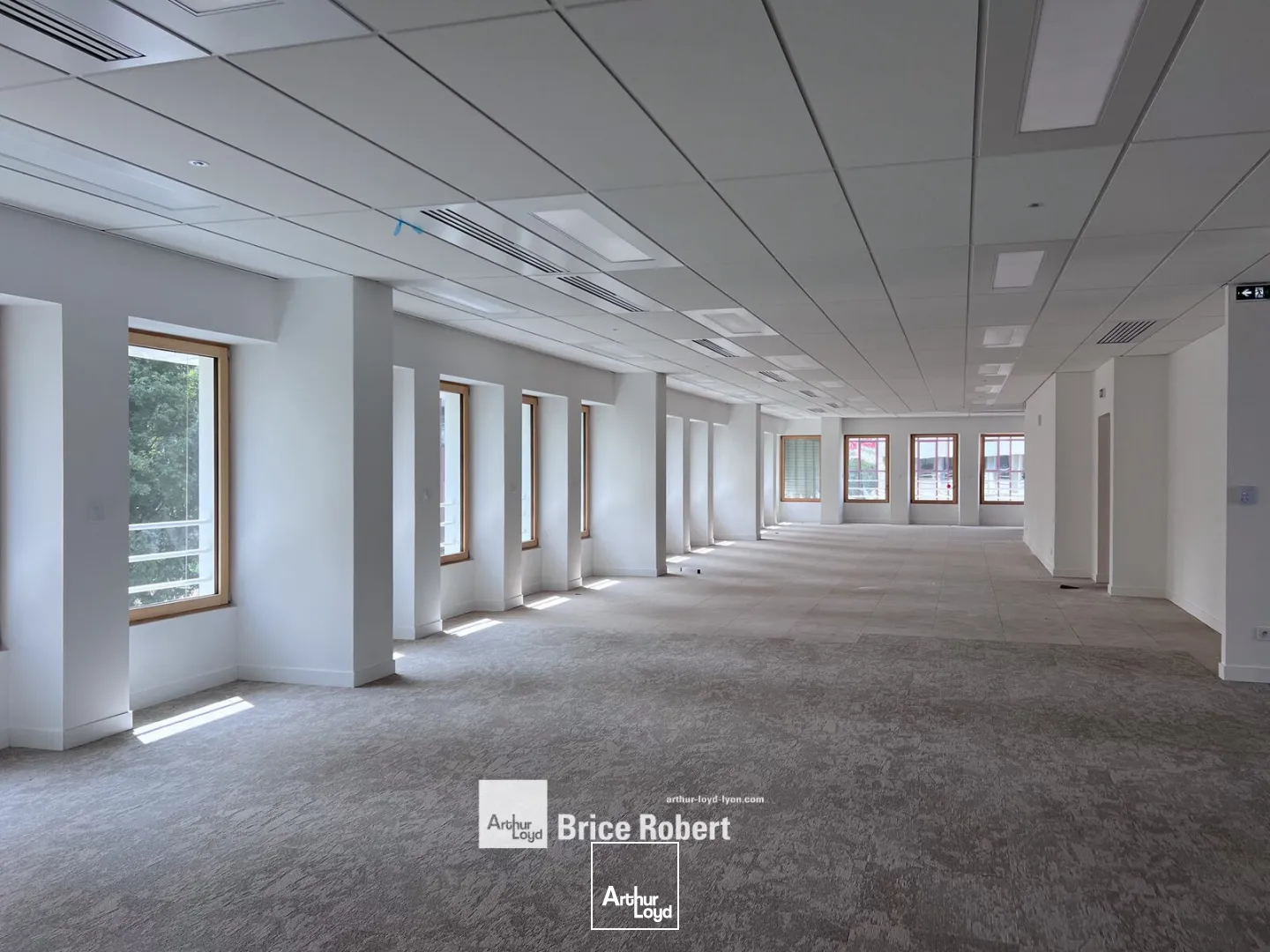 Bureaux - Location - LYON - 69003 - 323-729 - 7801417