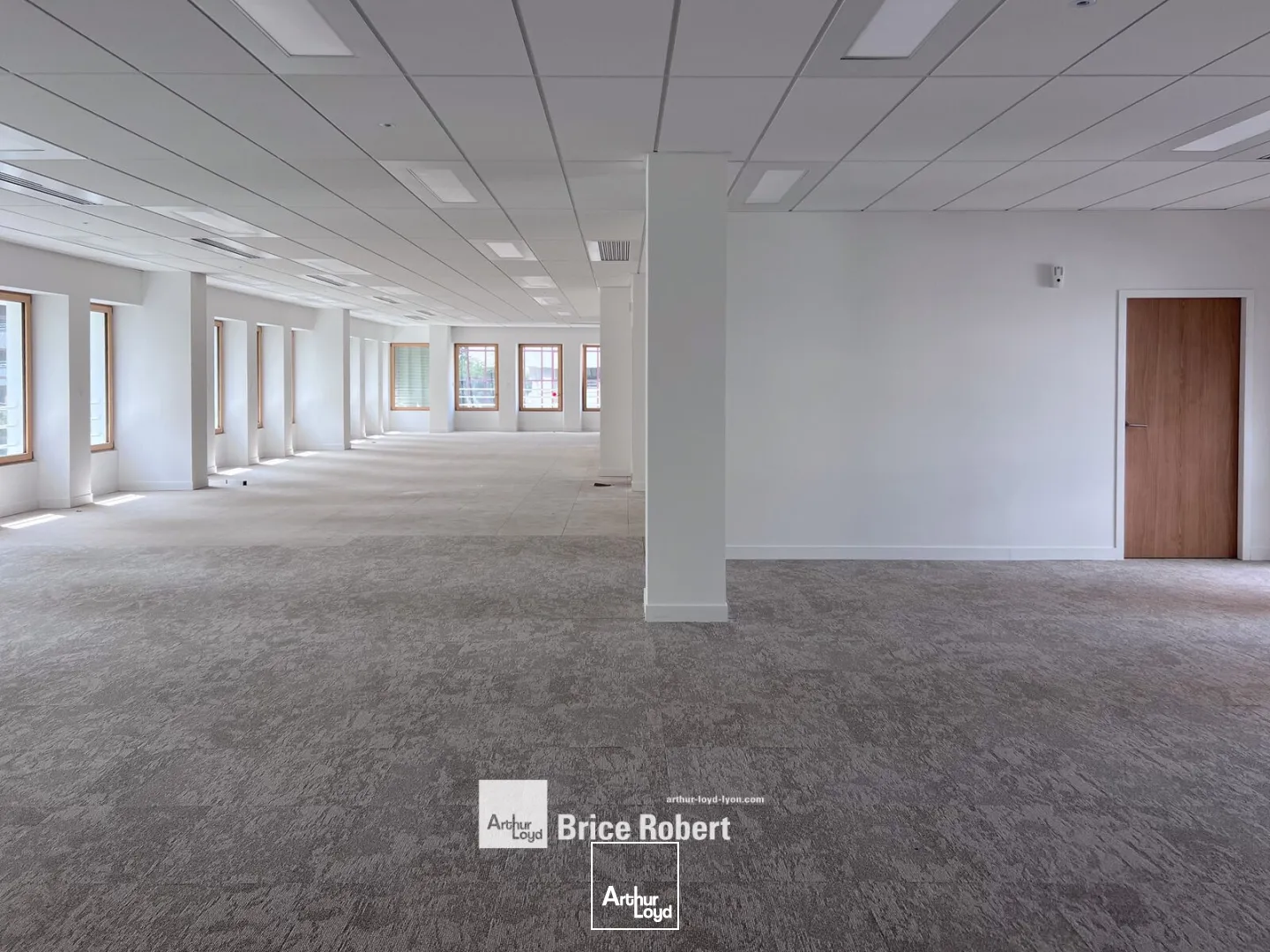 Bureaux - Location - LYON - 69003 - 323-729 - 7801420