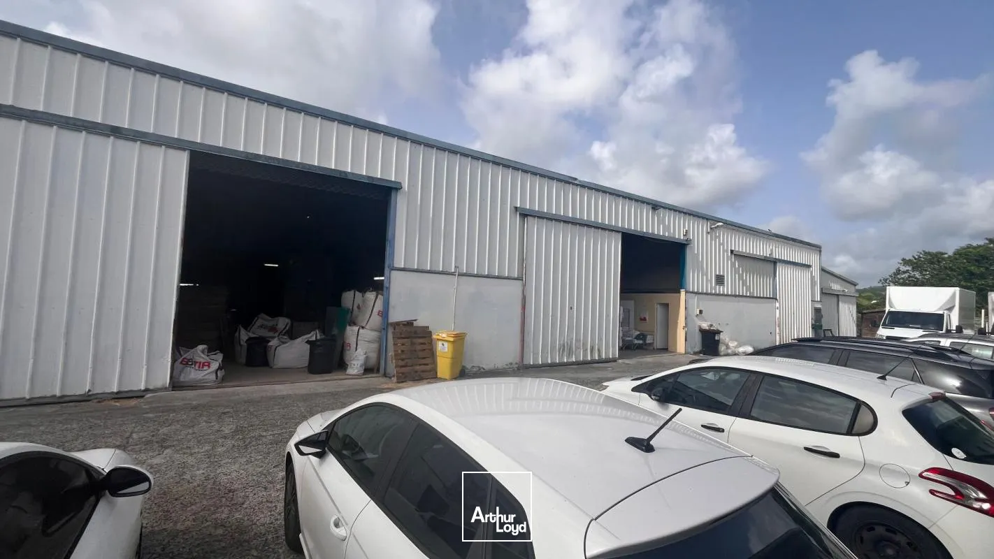 Locaux d'activité & Entrepôts - Location - Ducos - 97224 - 360-360 - 7801532