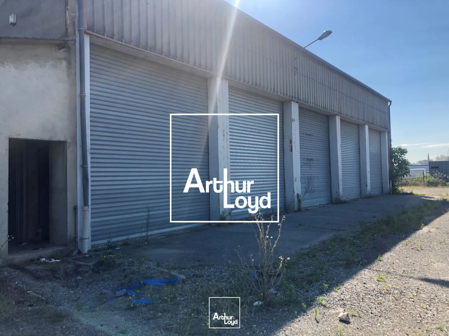 Locaux d'activité & Entrepôts - Location - PORTET SUR GARONNE - 31120 - 675-675 - 7802181