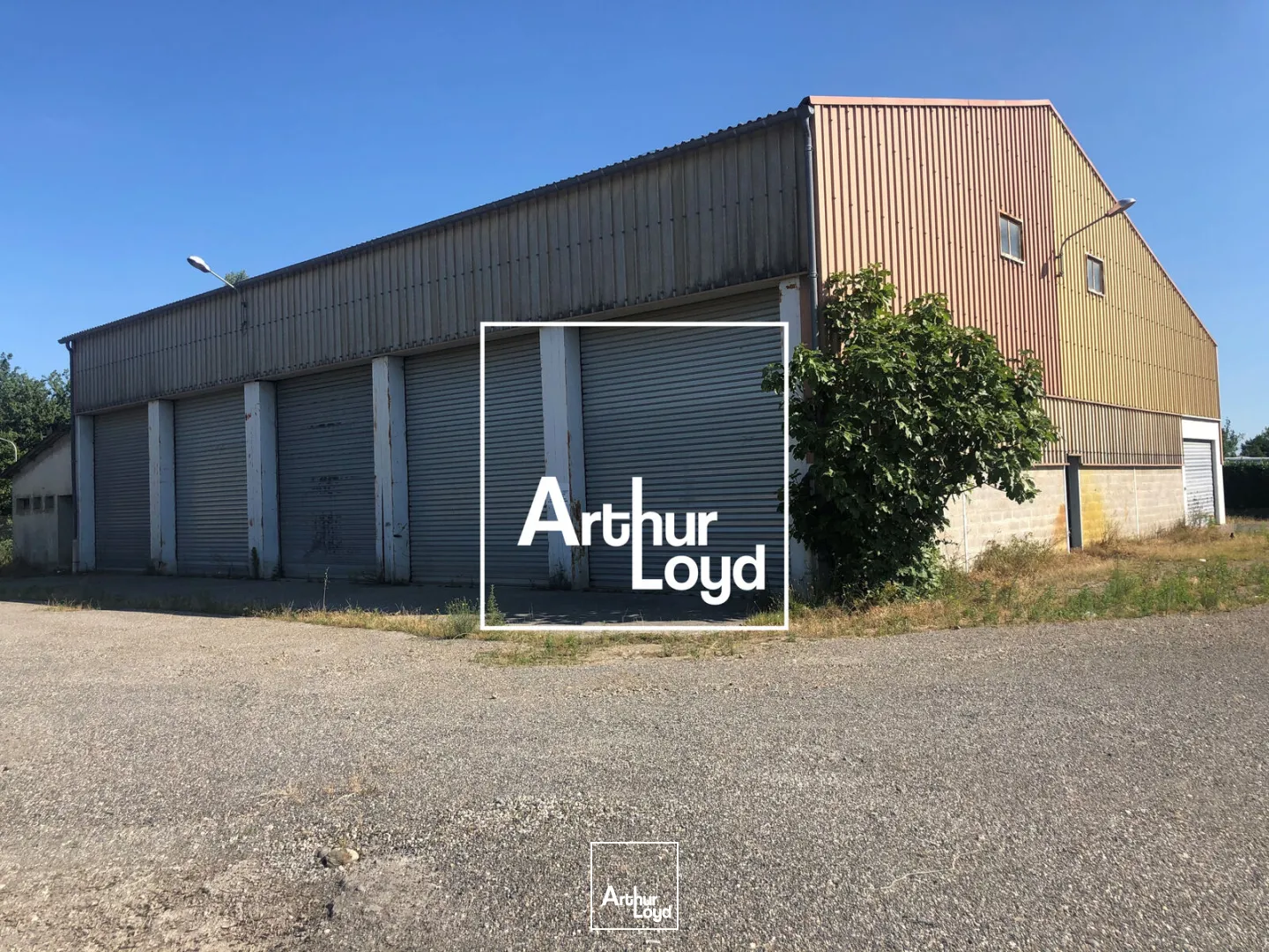 Locaux d'activité & Entrepôts - Location - PORTET SUR GARONNE - 31120 - 675-675 - 7802180