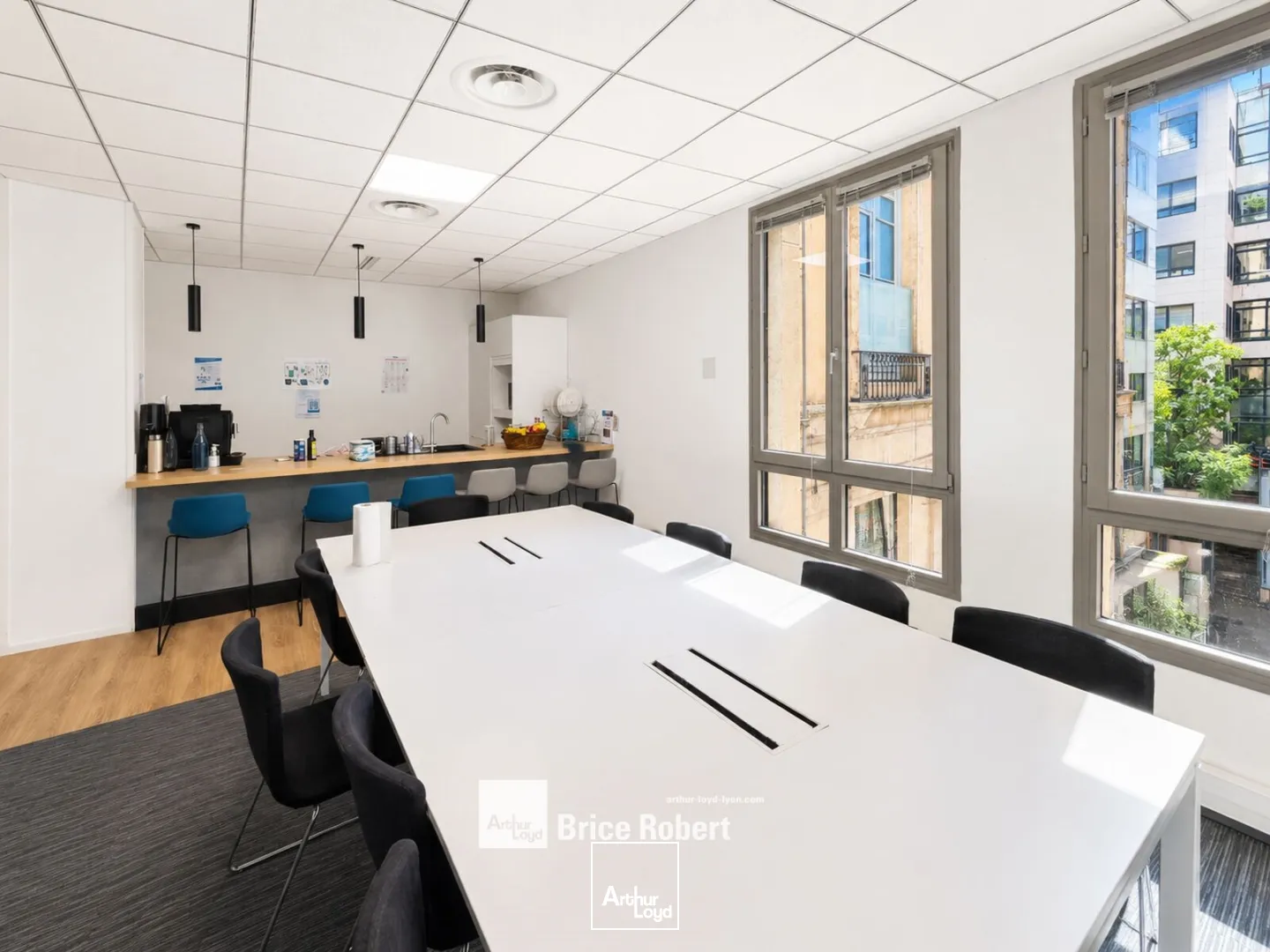 Bureaux - Location - LYON - 69001 - 500-500 - 7803327