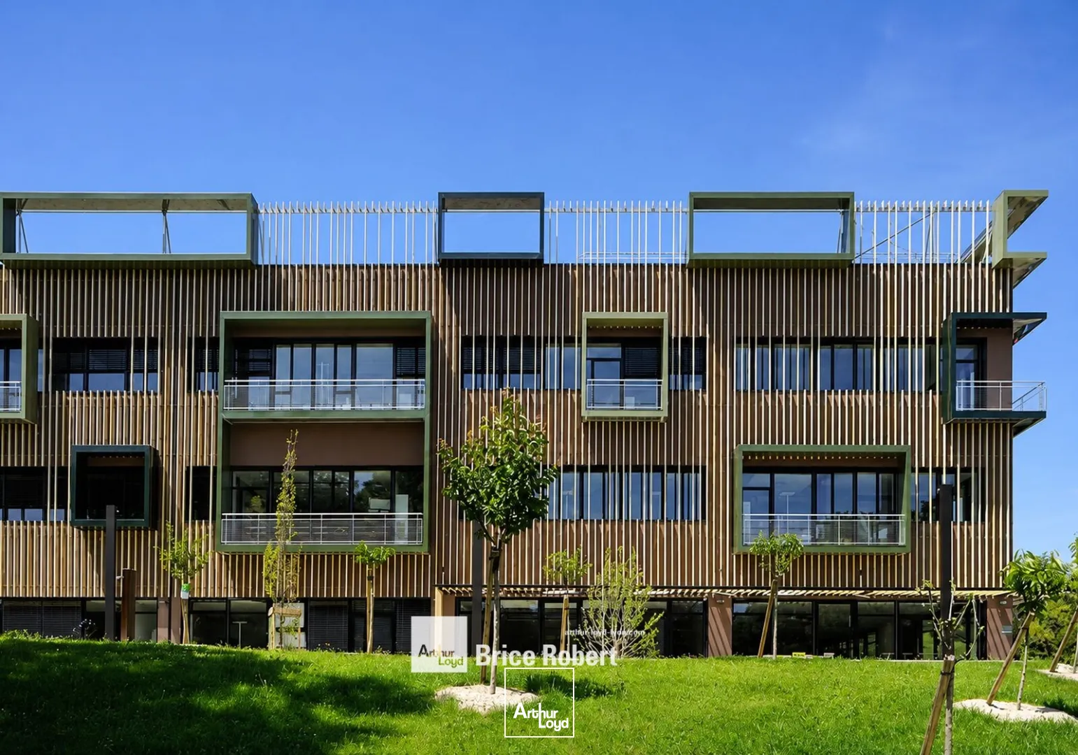 Bureaux - Location - ECULLY - 69130 - 213-794 - 7803333
