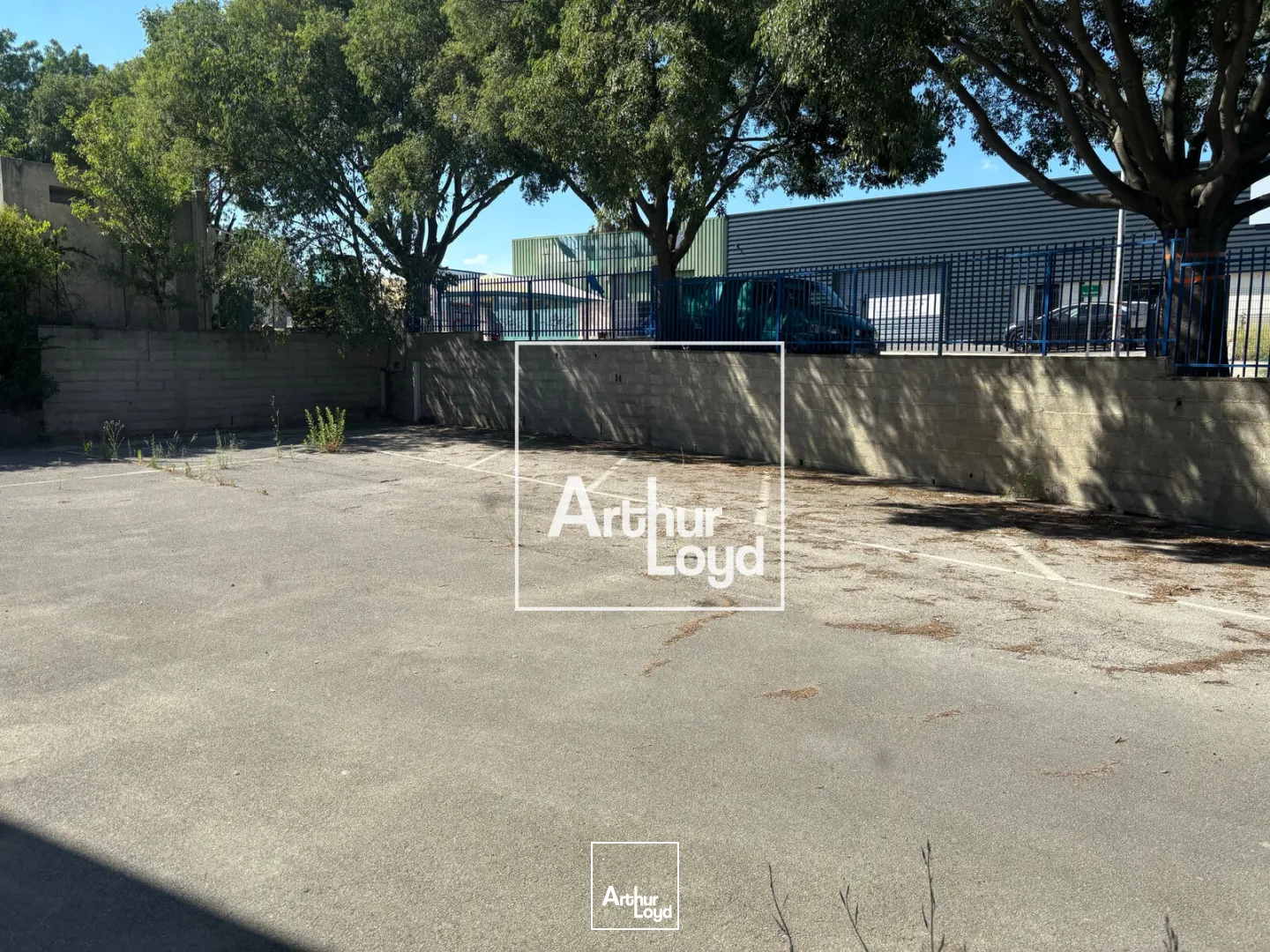 Locaux d'activité & Entrepôts - Location - SAINT JEAN DE VEDAS - 34430 - 1424-1424 - 7804263