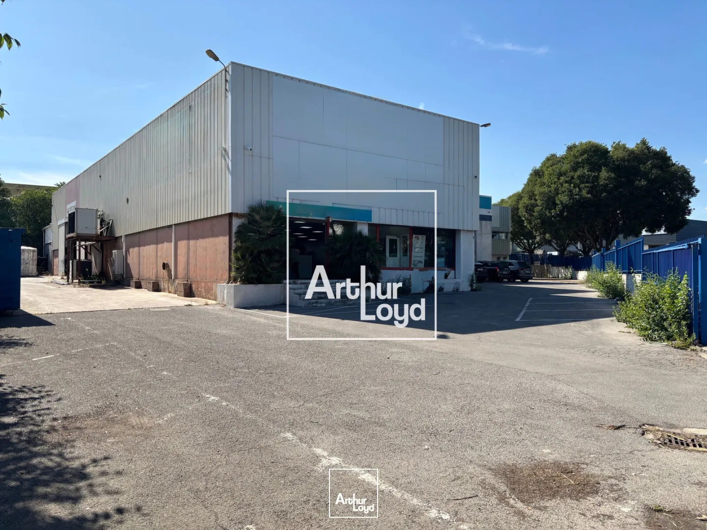 Locaux d'activité & Entrepôts - Location - SAINT JEAN DE VEDAS - 34430 - 1424-1424 - 7804261