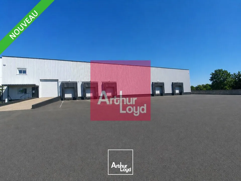 Locaux d'activité & Entrepôts - Location - AUBIERE - 63170 - 4331-4331 - 7804838
