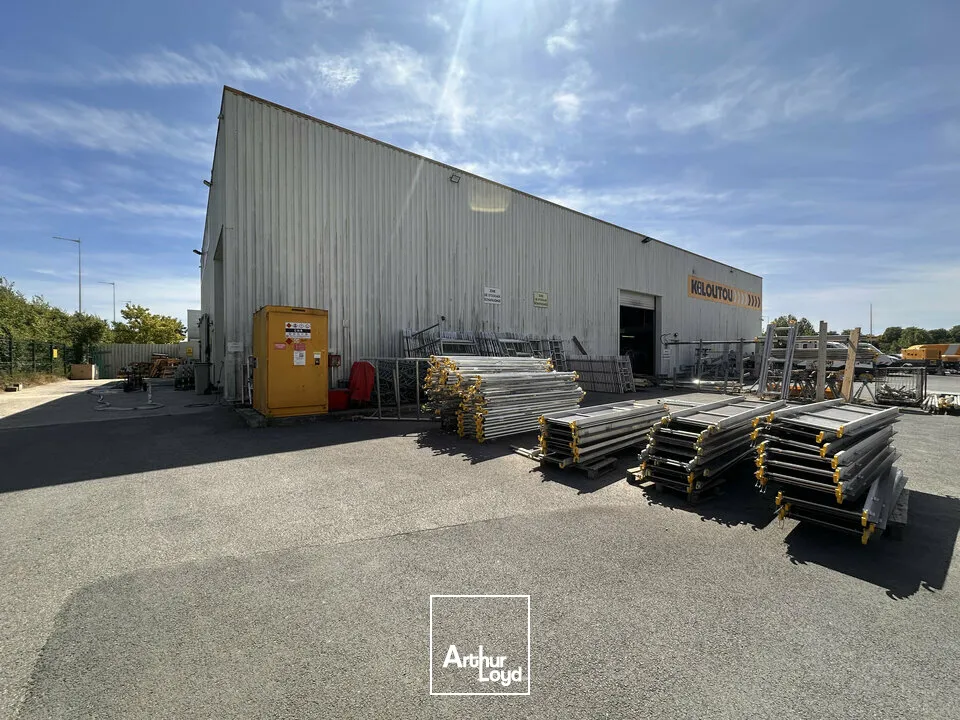 Locaux d'activité & Entrepôts - Location - REIMS - 51100 - 750-750 - 7804922