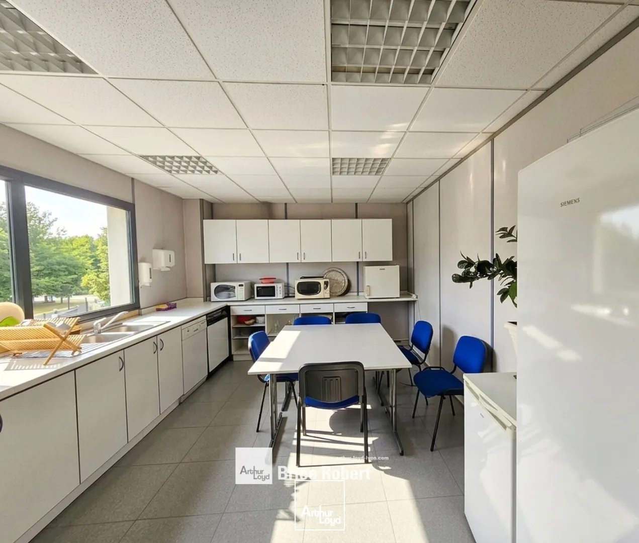 Bureaux - Location - LIMONEST - 69760 - 446-931 - 7805624