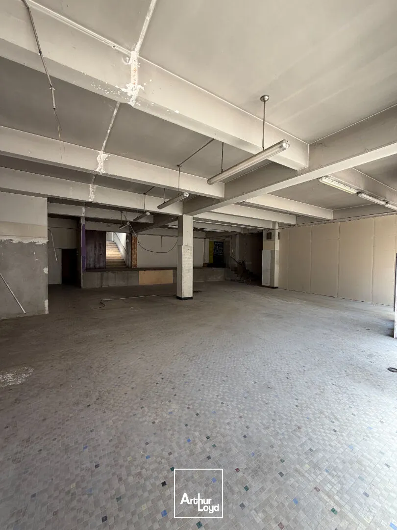 Locaux commerciaux - Location - LIMOGES - 87000 - 230-230 - 7805678