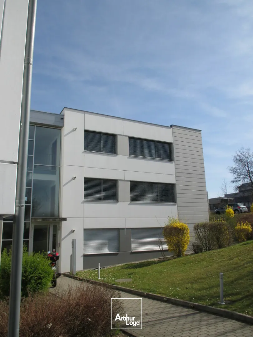 Bureaux - Vente - MULHOUSE - 68200 - 131-131 - 7805745