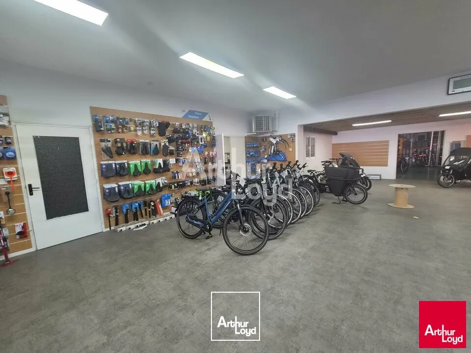 Locaux commerciaux - Location - ANGERS - 49100 - 720-720 - 7805796