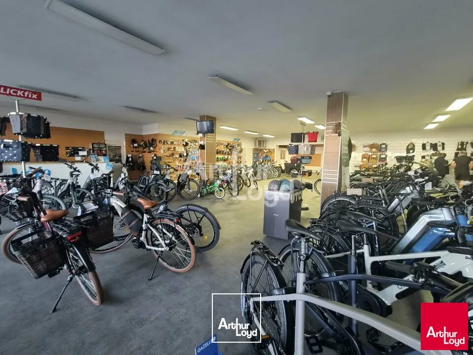Locaux commerciaux - Location - ANGERS - 49100 - 720-720 - 7805797