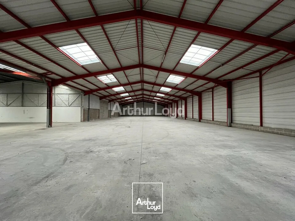 Locaux d'activité & Entrepôts - Location - REIMS - 51100 - 1562-1562 - 7805811
