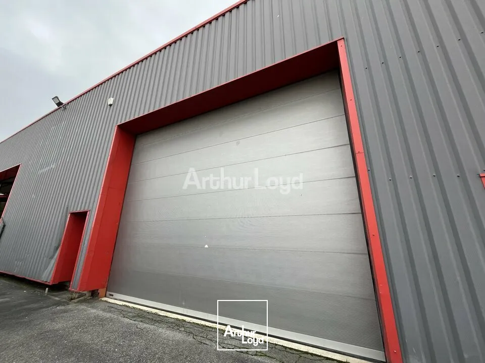 Locaux d'activité & Entrepôts - Location - REIMS - 51100 - 1562-1562 - 7805813