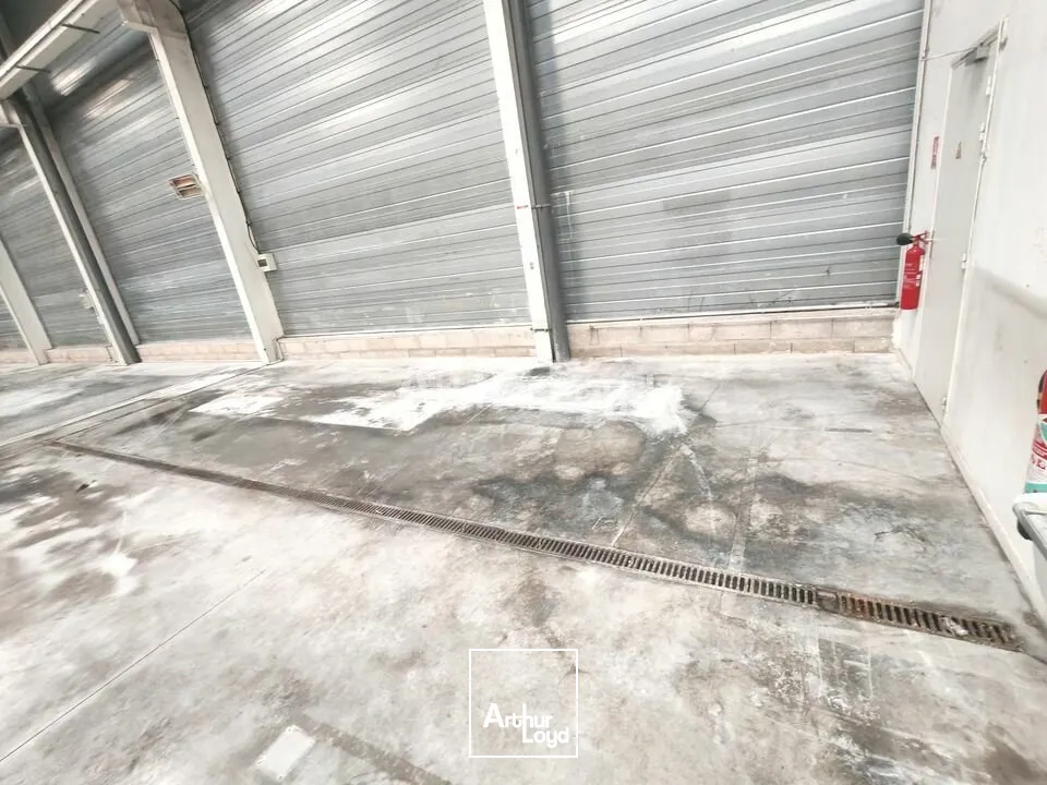 Locaux d'activité & Entrepôts - Location - REIMS - 51100 - 1130-1130 - 7805819
