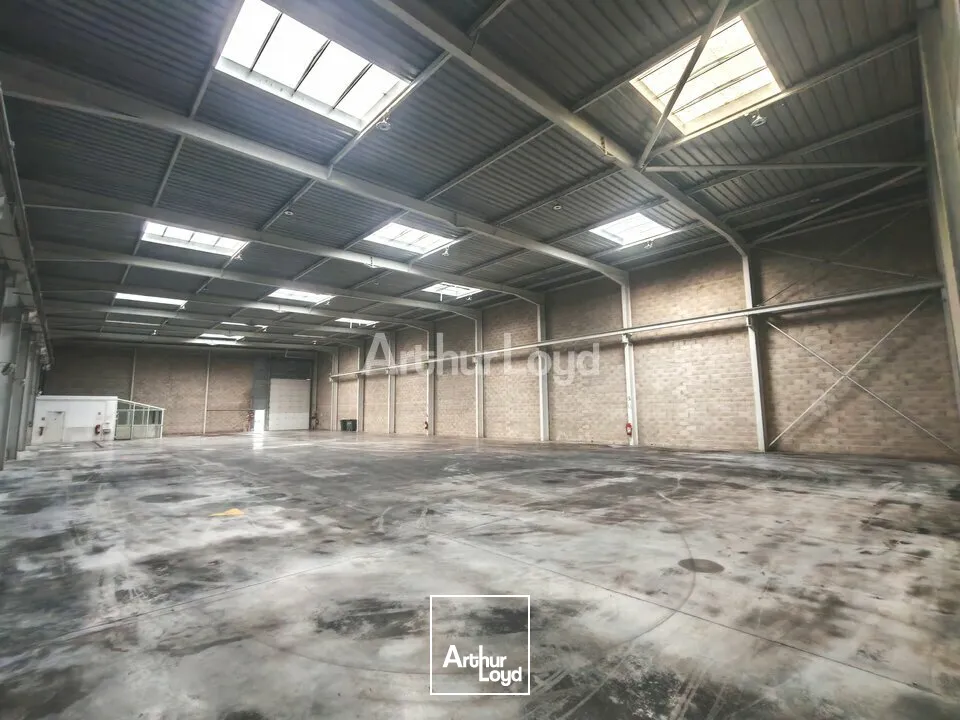 Locaux d'activité & Entrepôts - Location - REIMS - 51100 - 1130-1130 - 7805817
