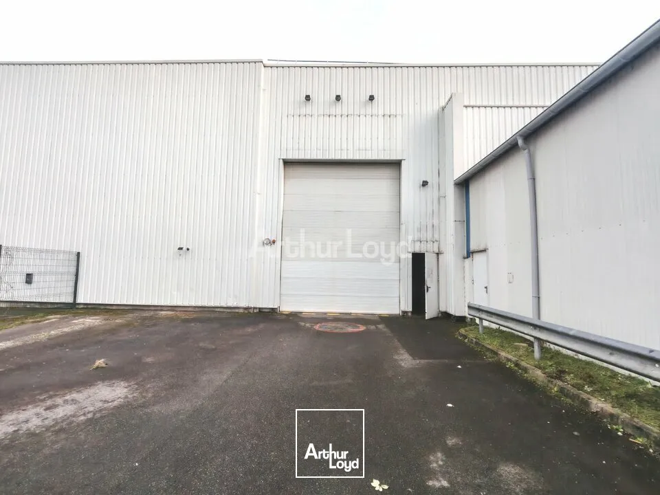Locaux d'activité & Entrepôts - Location - REIMS - 51100 - 1130-1130 - 7805818