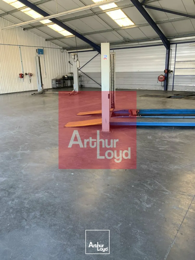Locaux d'activité & Entrepôts - Vente - LAFOX - 47240 - 1500-1500 - 7806202