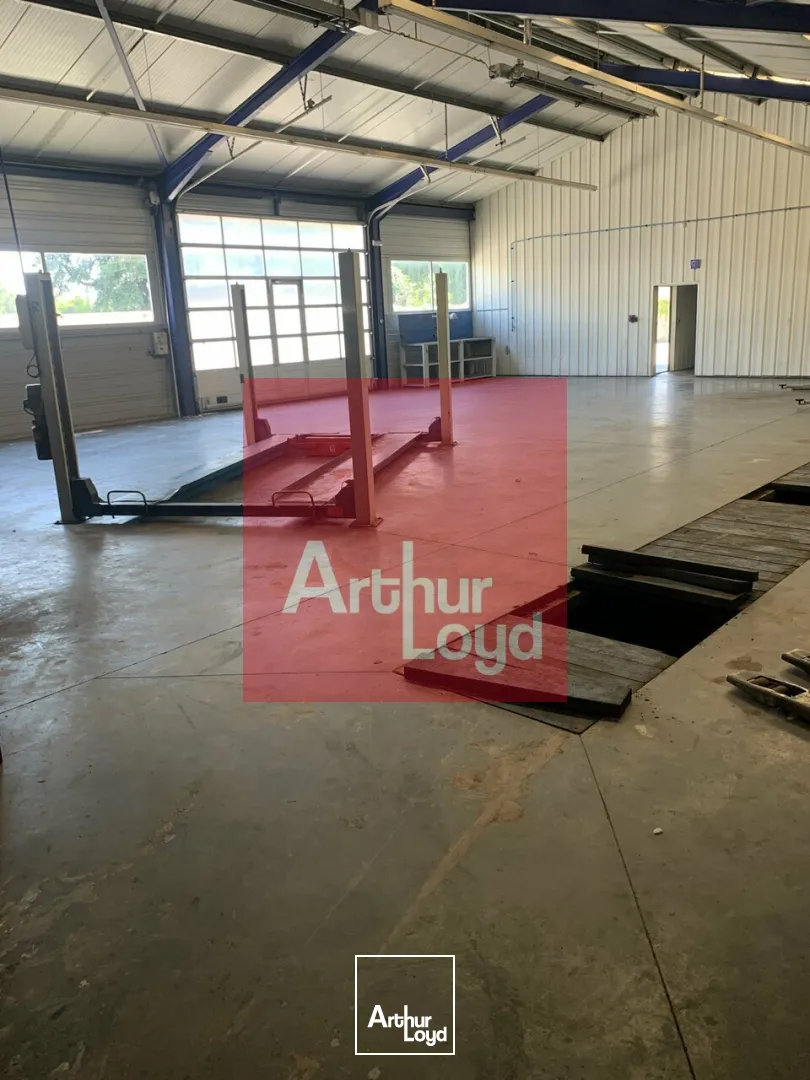 Locaux d'activité & Entrepôts - Vente - LAFOX - 47240 - 1500-1500 - 7806203