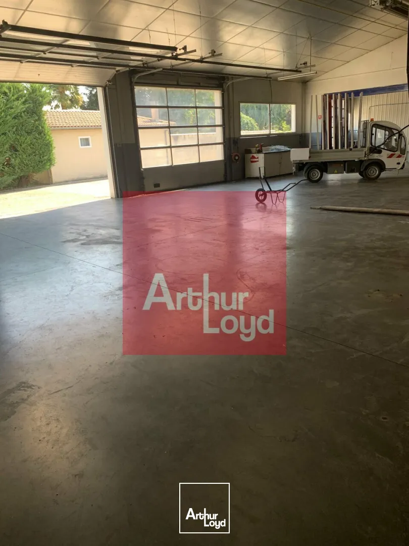 Locaux d'activité & Entrepôts - Vente - LAFOX - 47240 - 1500-1500 - 7806204