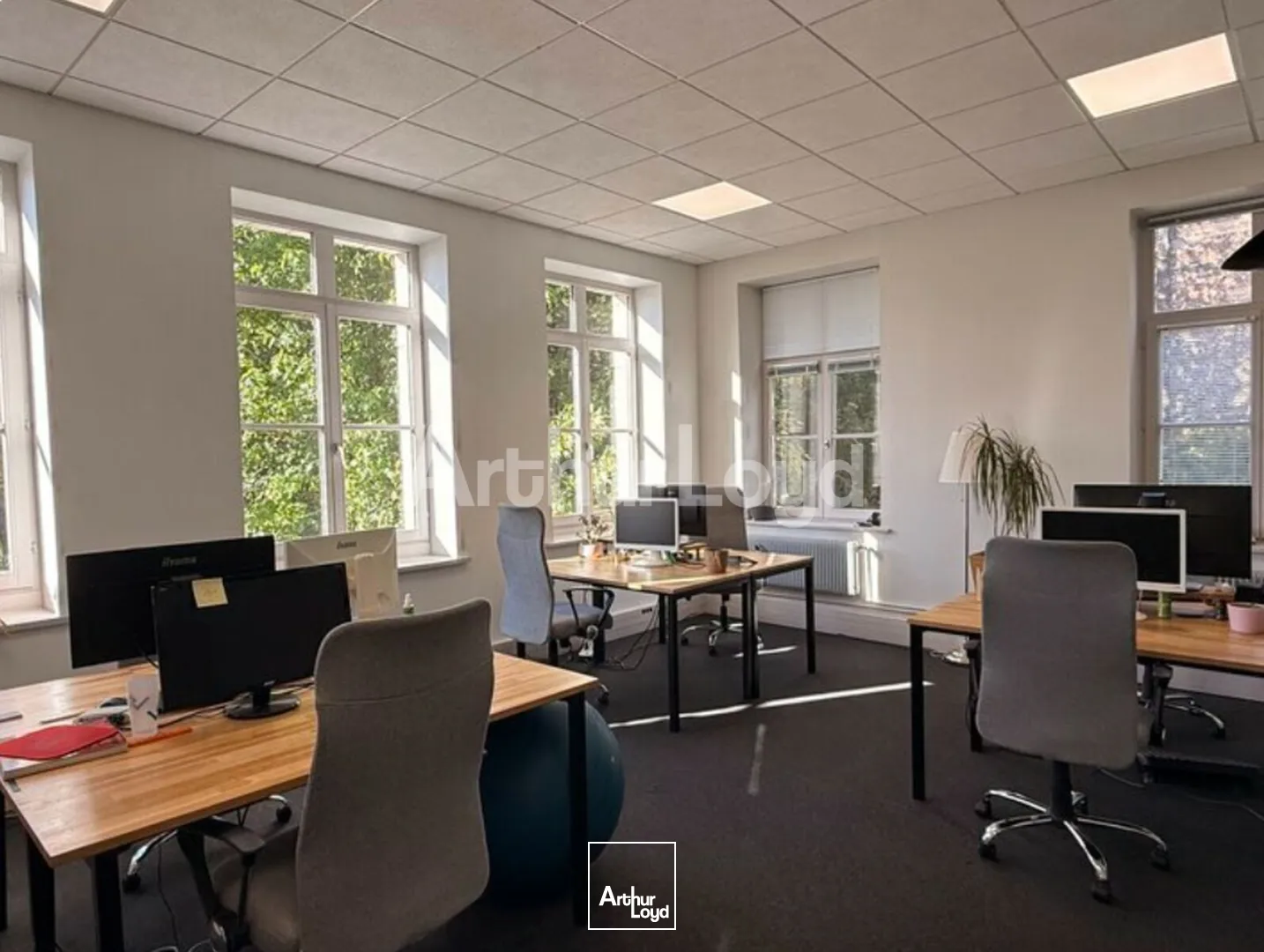 Bureaux - Location - LILLE - 59000 - 224-662 - 7806328