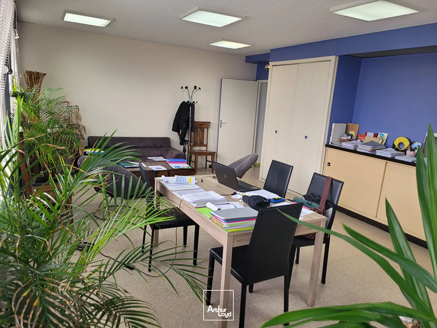 Bureaux - Location - LIMOGES - 87000 - 125-125 - 7806598