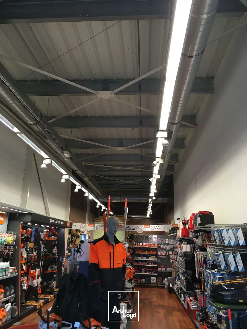 Locaux commerciaux - Location - SAINT JUNIEN - 87200 - 175-175 - 7806696