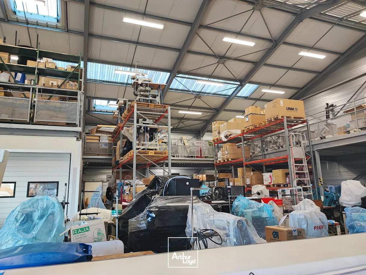 Locaux d'activité & Entrepôts - Location - LIMOGES - 87000 - 736-736 - 7806788