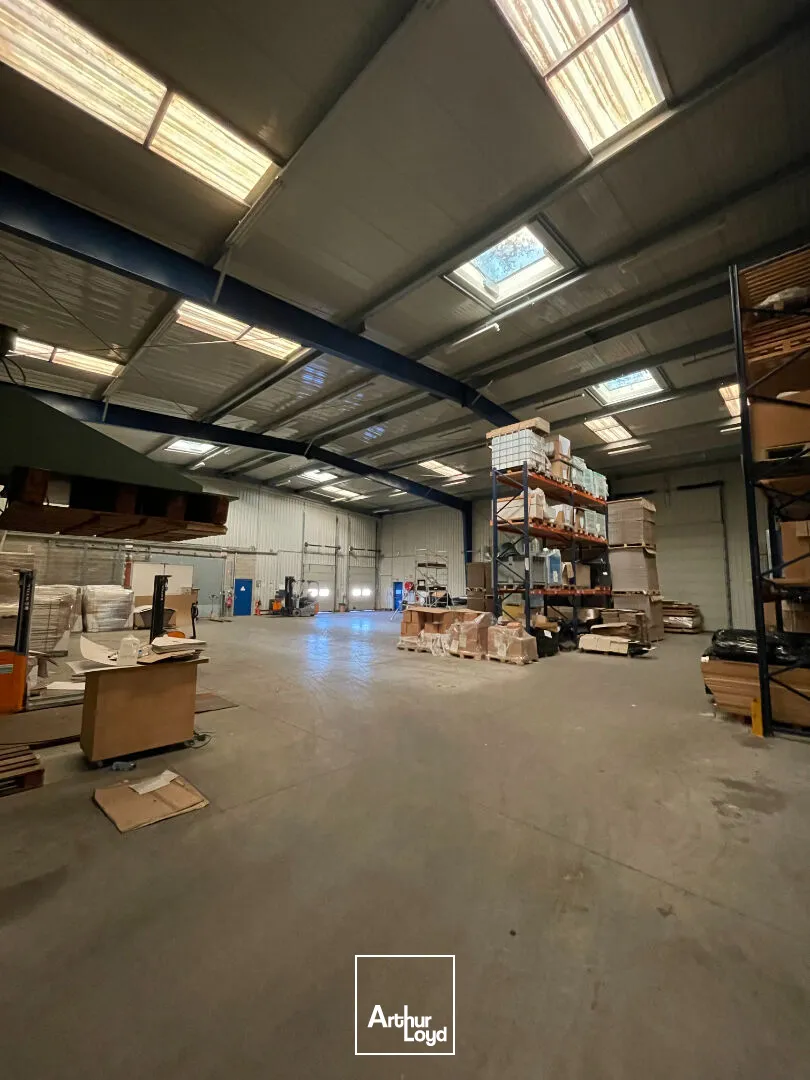 Locaux d'activité & Entrepôts - Vente - SAINT JUNIEN - 87200 - 2000-2000 - 7806811