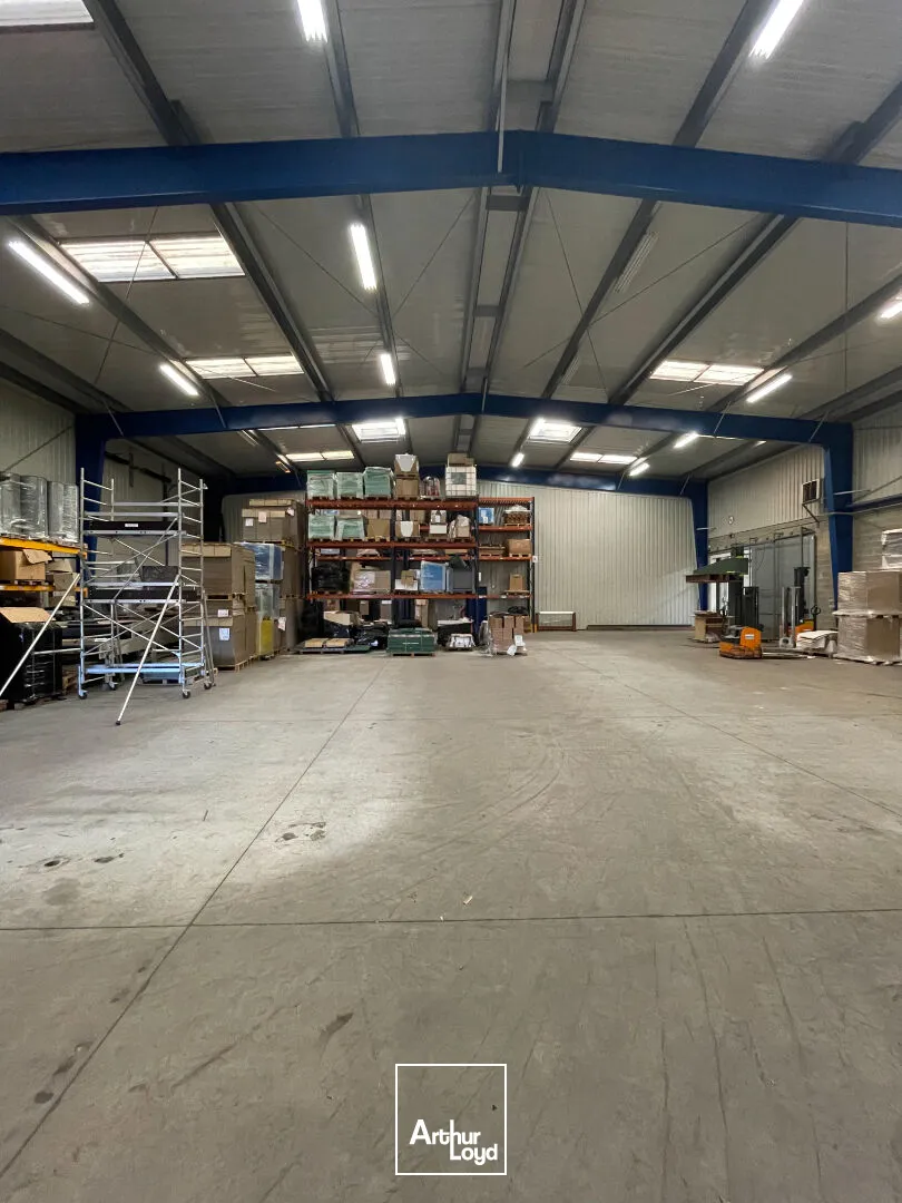 Locaux d'activité & Entrepôts - Vente - SAINT JUNIEN - 87200 - 2000-2000 - 7806812