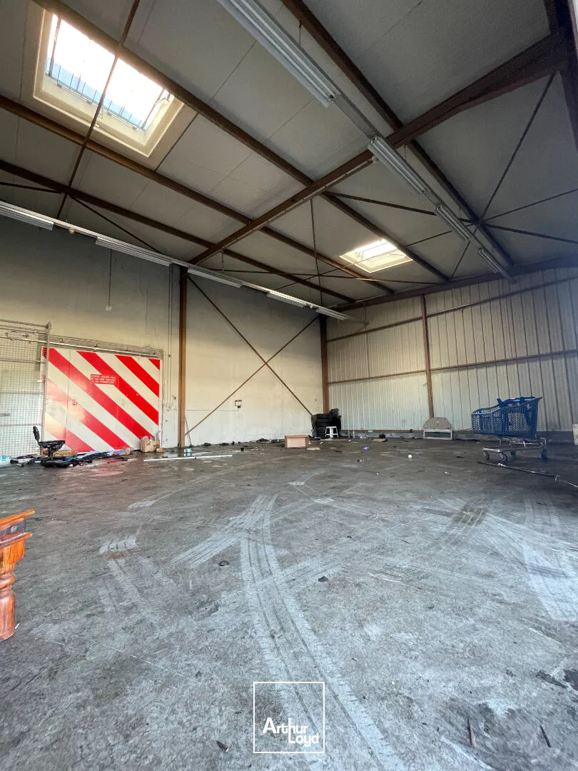 Locaux d'activité & Entrepôts - Location - LIMOGES - 87280 - 115-115 - 7806933