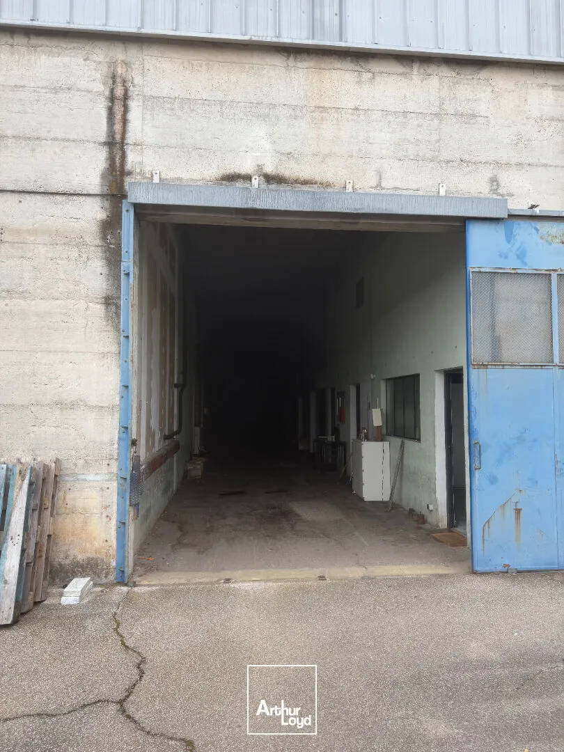 Locaux d'activité & Entrepôts - Location - LIMOGES - 87000 - 900-900 - 7807049