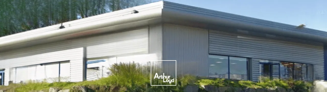 Locaux commerciaux - Location - LIMOGES - 87280 - 446-446 - 7807067