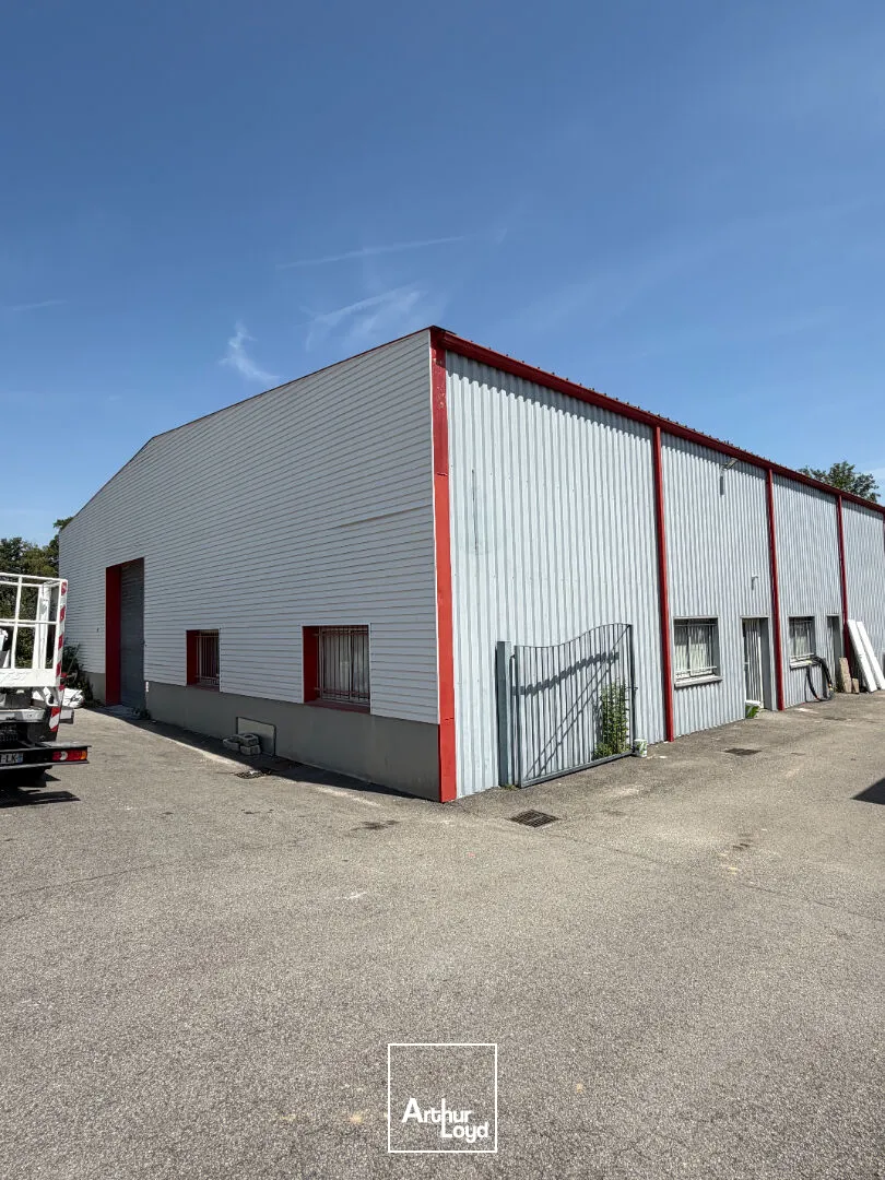 Locaux d'activité & Entrepôts - Location - LIMOGES - 87280 - 400-400 - 7807134